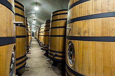 《迪士尼梦幻星谷》发布新预告 9月6日开启EA测试